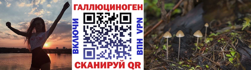 маркетплейс телеграм  Абдулино  Галлюциногенные грибы Cubensis 